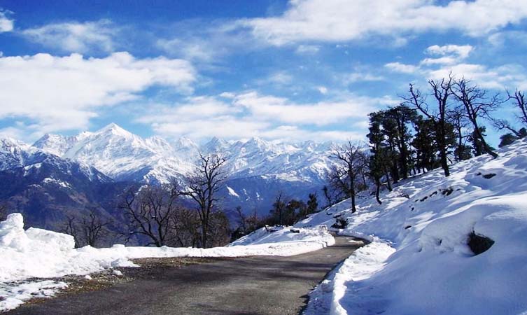 Munshyari Tour PKG